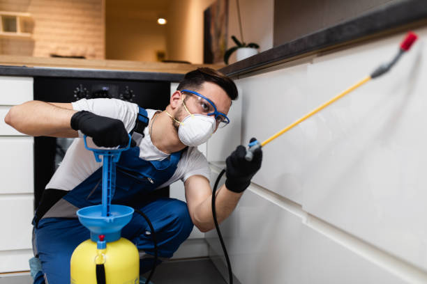 Best Best Pest Control Companies  in Oakwood, PA