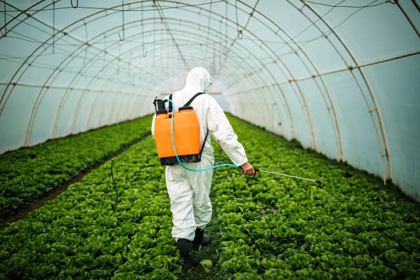 Best Best Pest Control Near Me  in Oakwood, PA