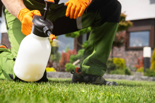 Trusted Oakwood, PA Pest Control Experts
