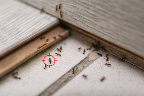 Best Commercial Pest Control Services  in Oakwood, PA