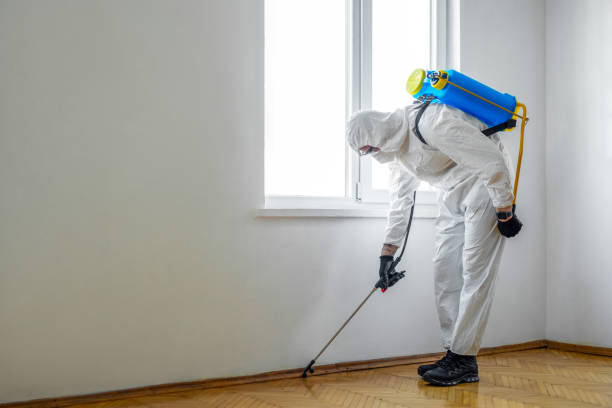 Best Rat Extermination Near Me  in Oakwood, PA