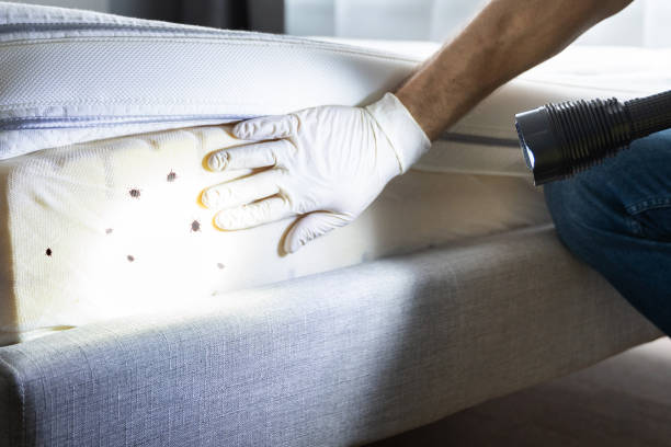 Best Affordable Pest Control Services  in Oakwood, PA