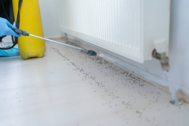 Best Pest Prevention Services  in Oakwood, PA