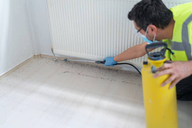 Best Best Pest Control Companies  in Oakwood, PA