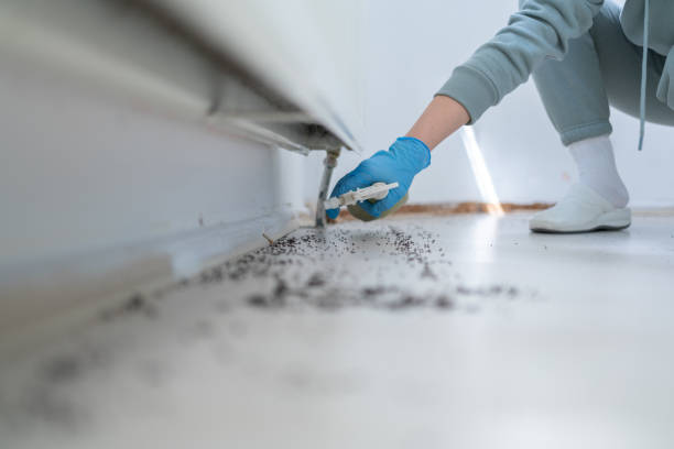 Professional Pest Control in Oakwood, PA